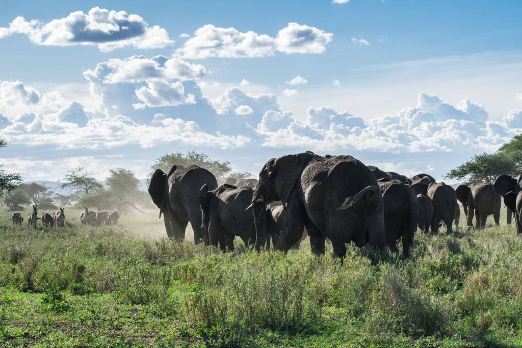 Viaggio di gruppo nel nord Tanzania: itinerario tra Serengeti e Ngorongoro